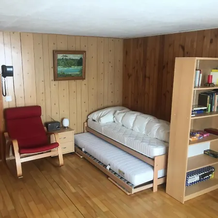 Studio - Chalet Haus Ahorn Ost *